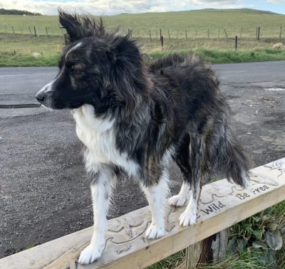 Northumberland bench on top